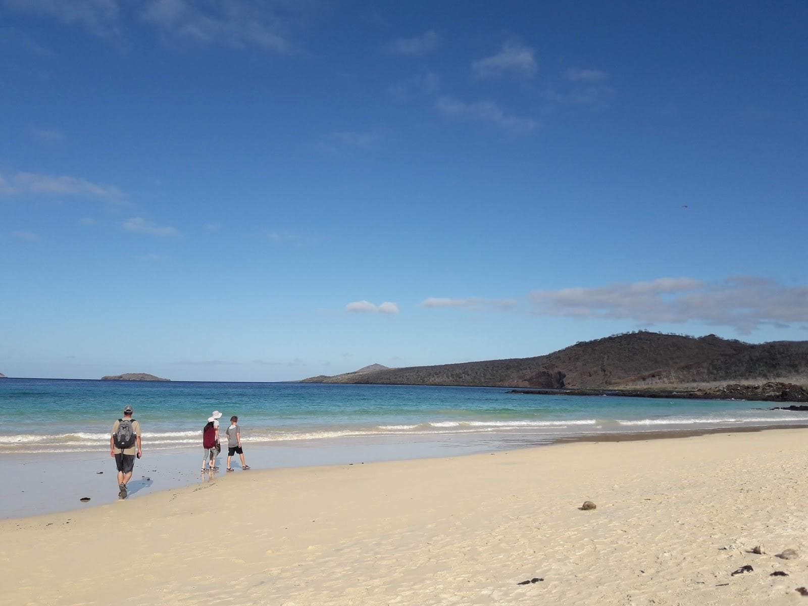 Punta Cormorant