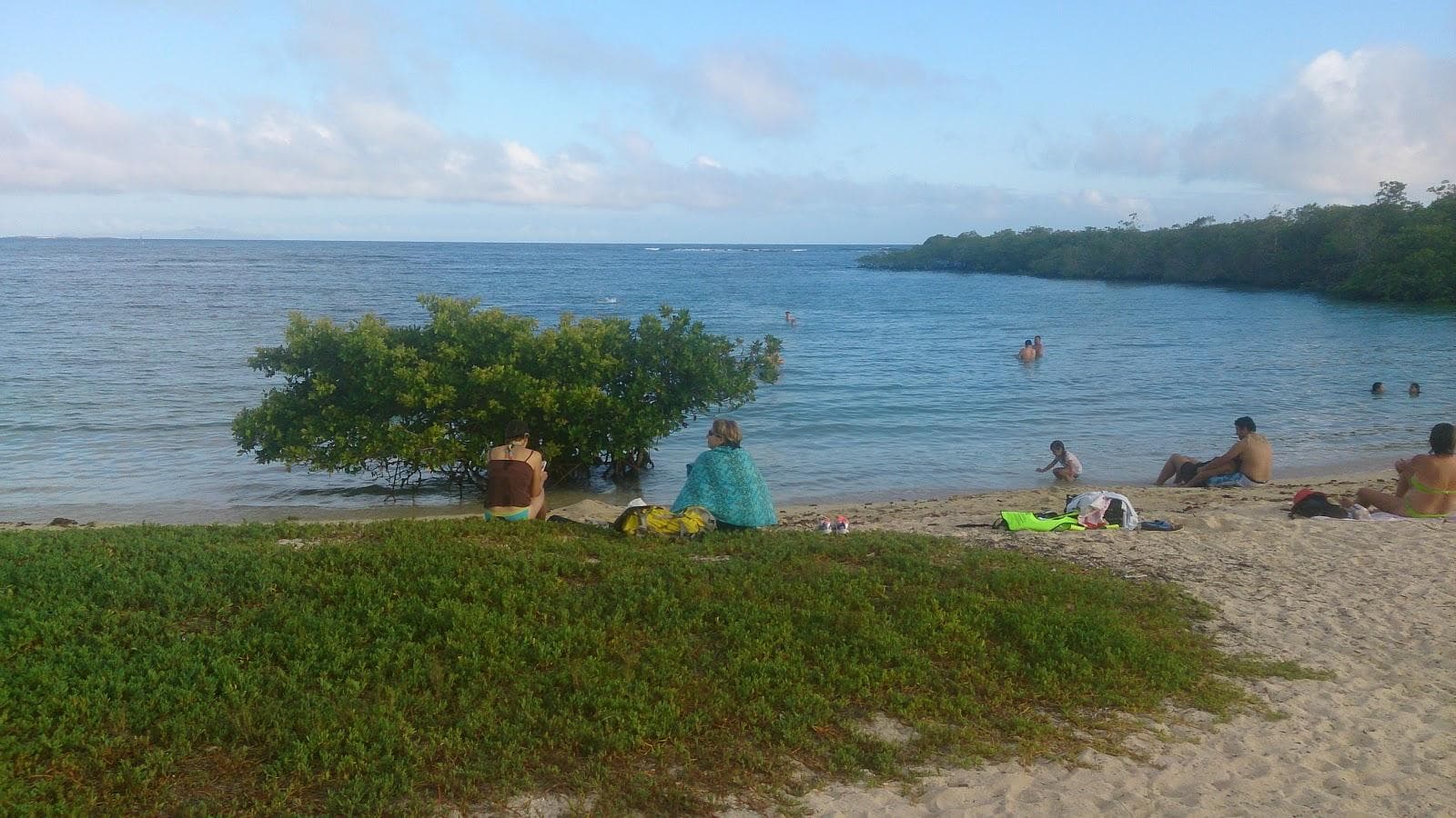 Playa los alemanes