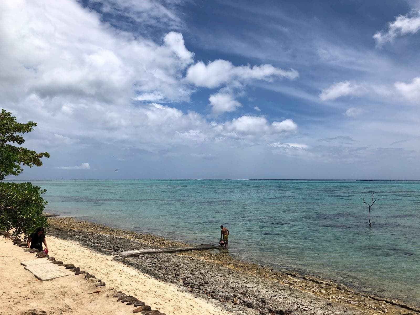 Pineapple Beach