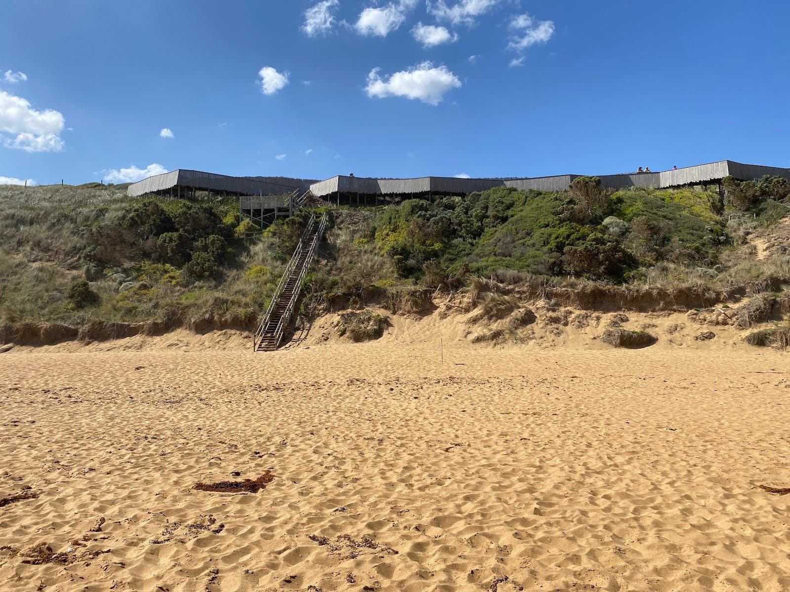 Logans Beach Whale Nursery