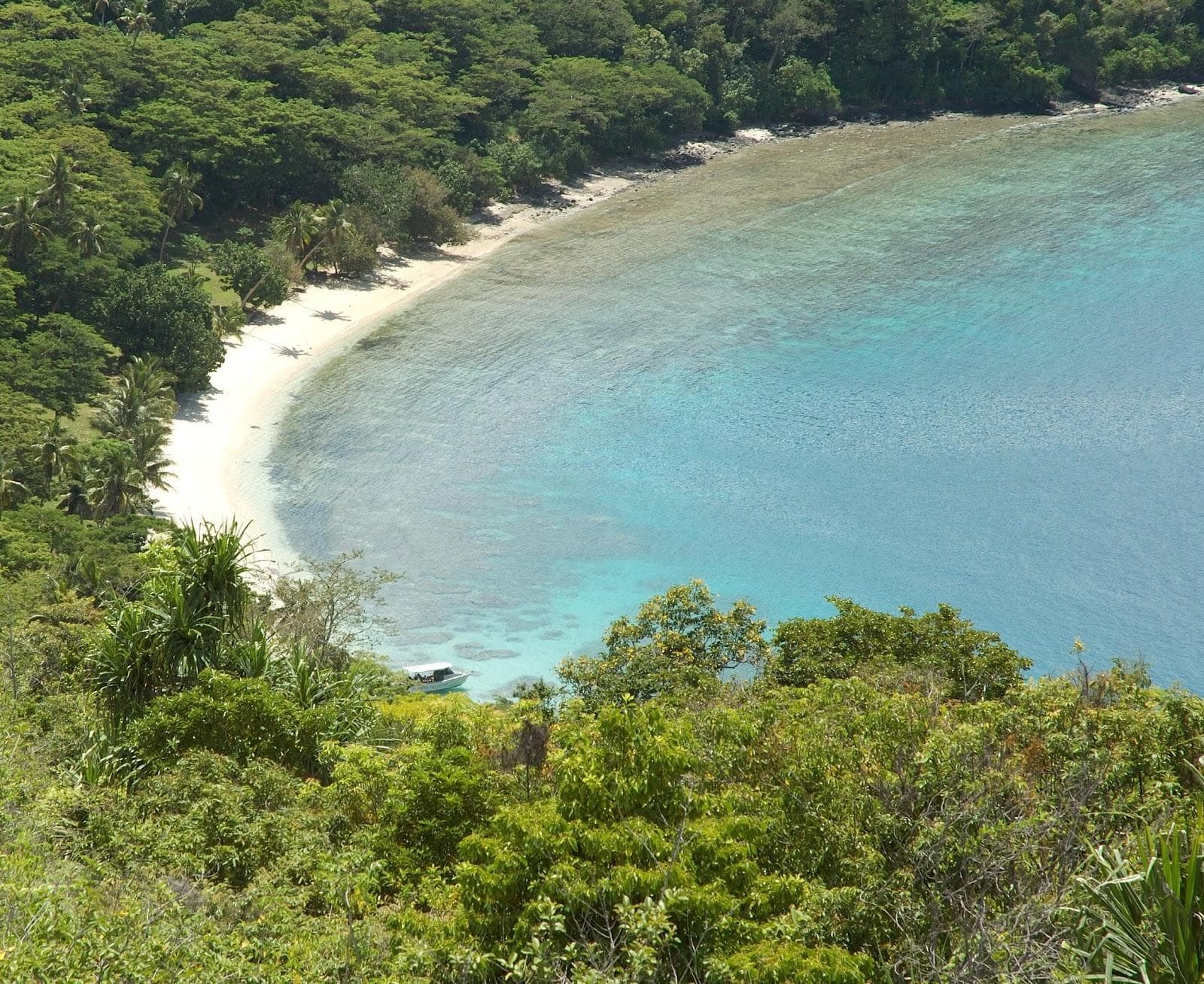 Waitatavi Bay Beach