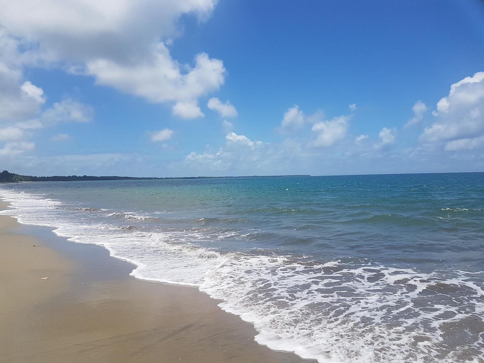 Pacific Harbour