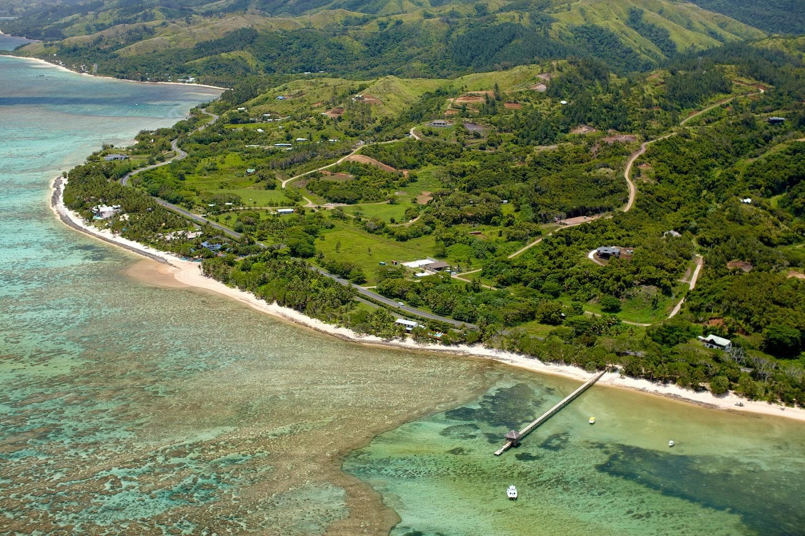 Maui Palms