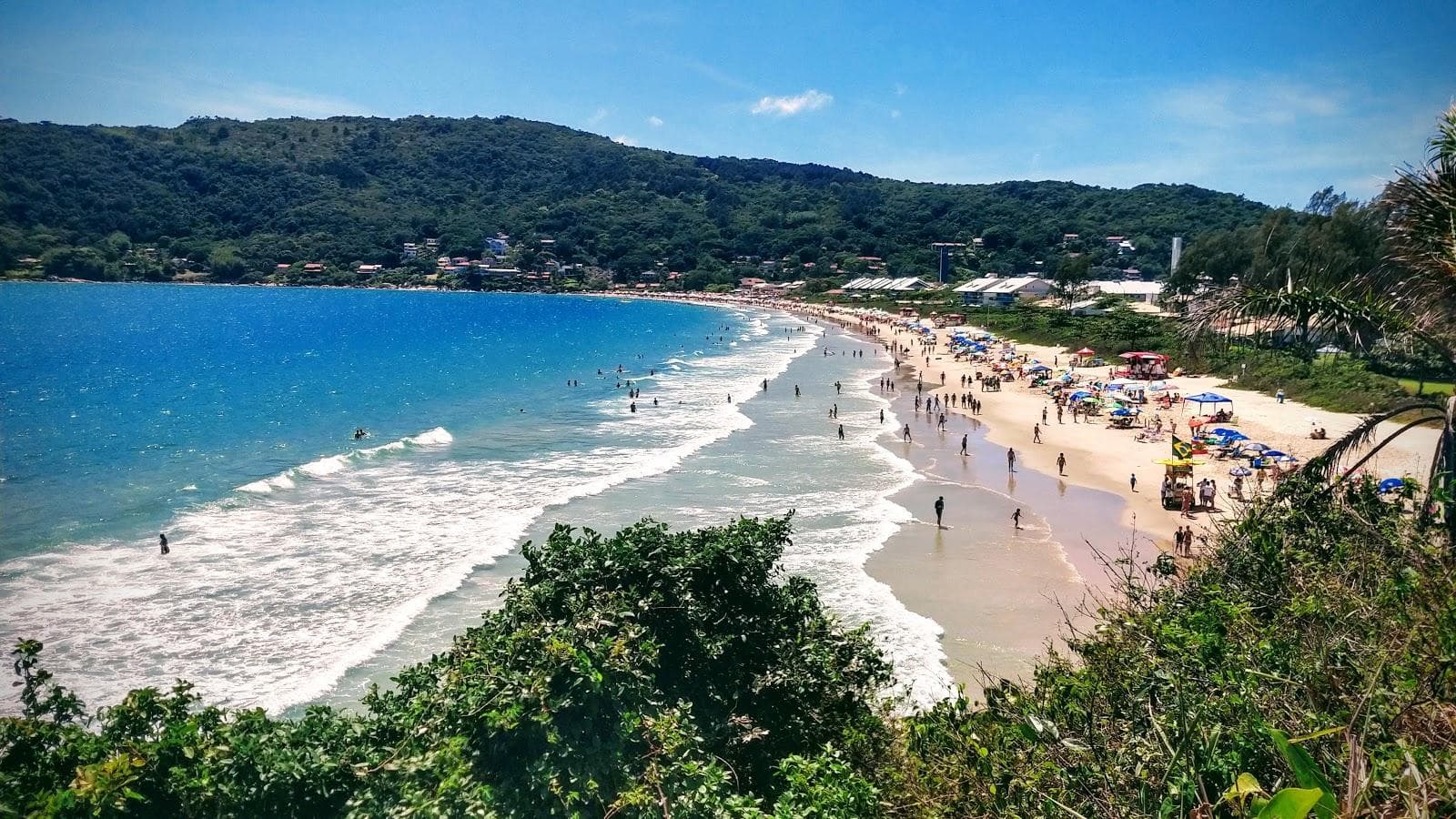 Ponta das Canas Beach