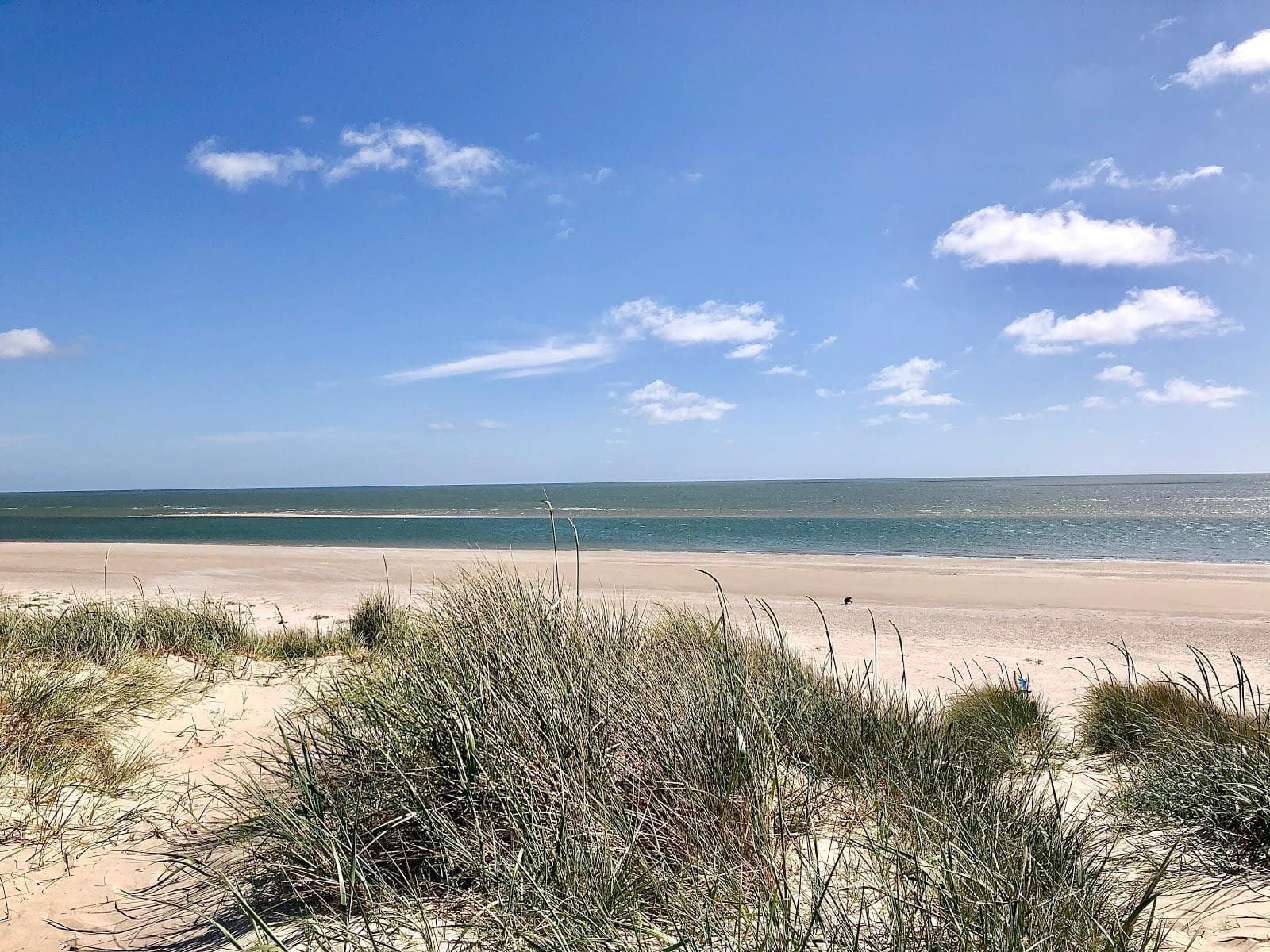 Blavandshuk Beach