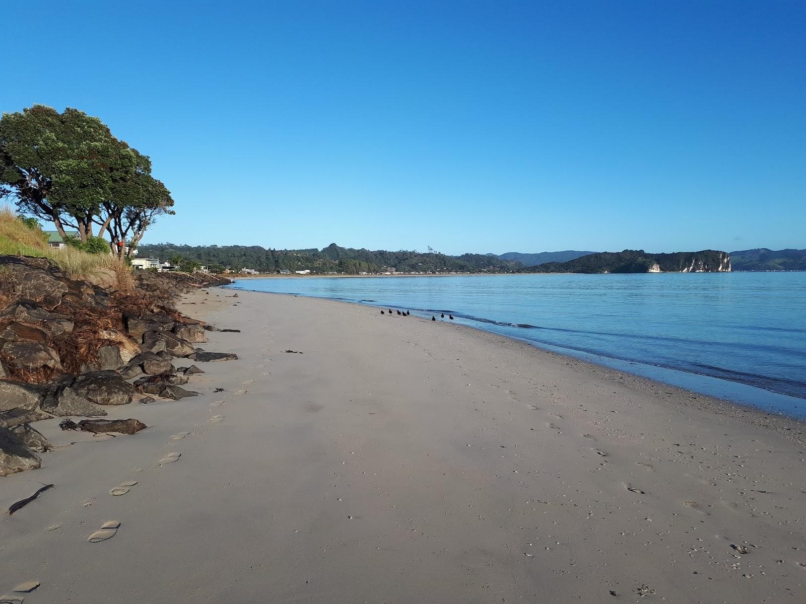 Cooks Beach