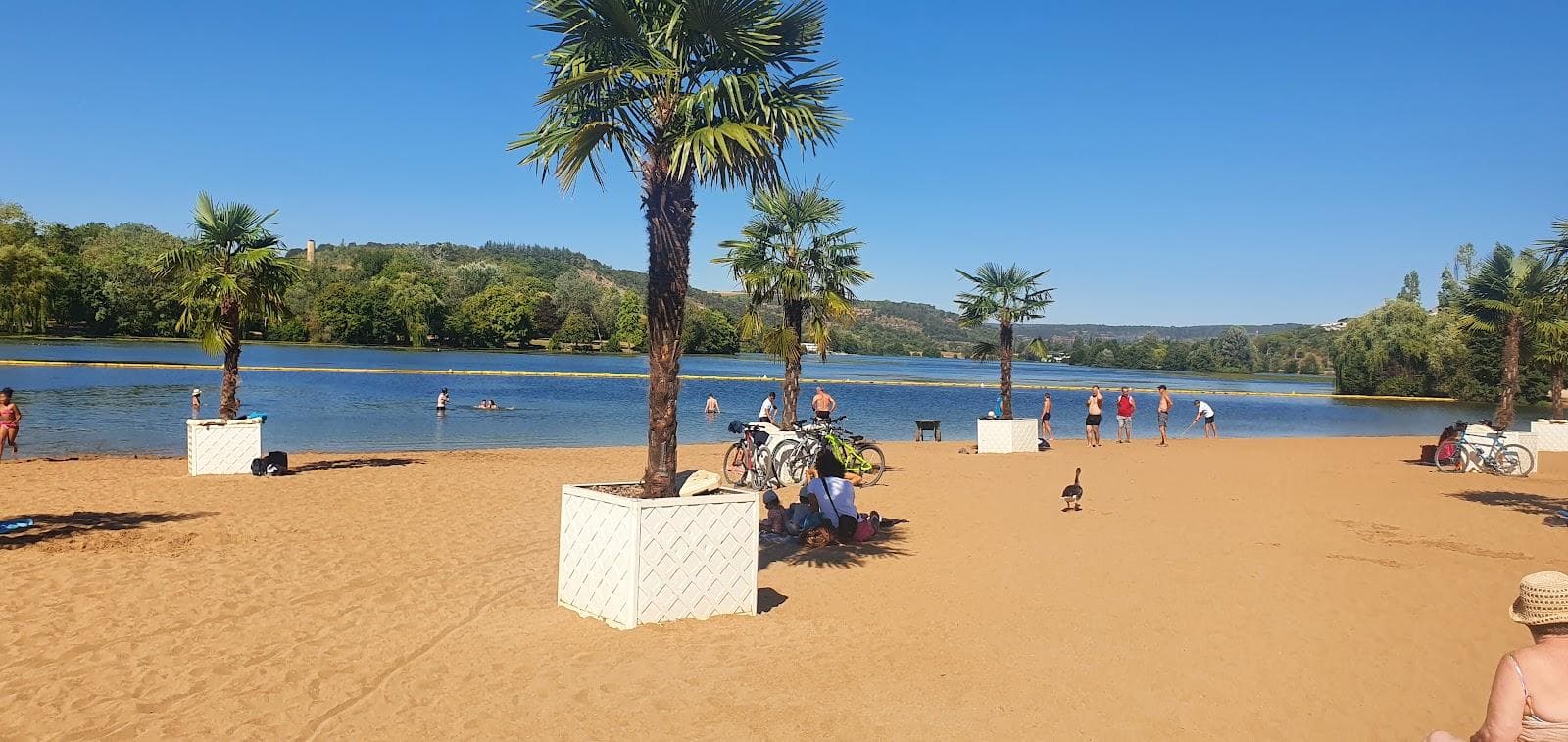 Dijon Beach
