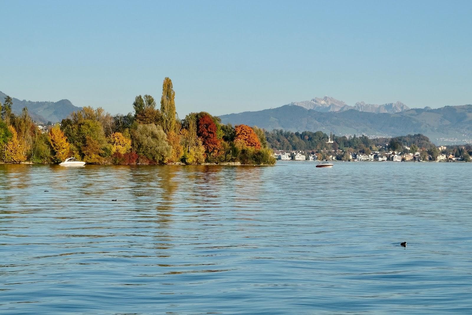 Schirmensee Strand