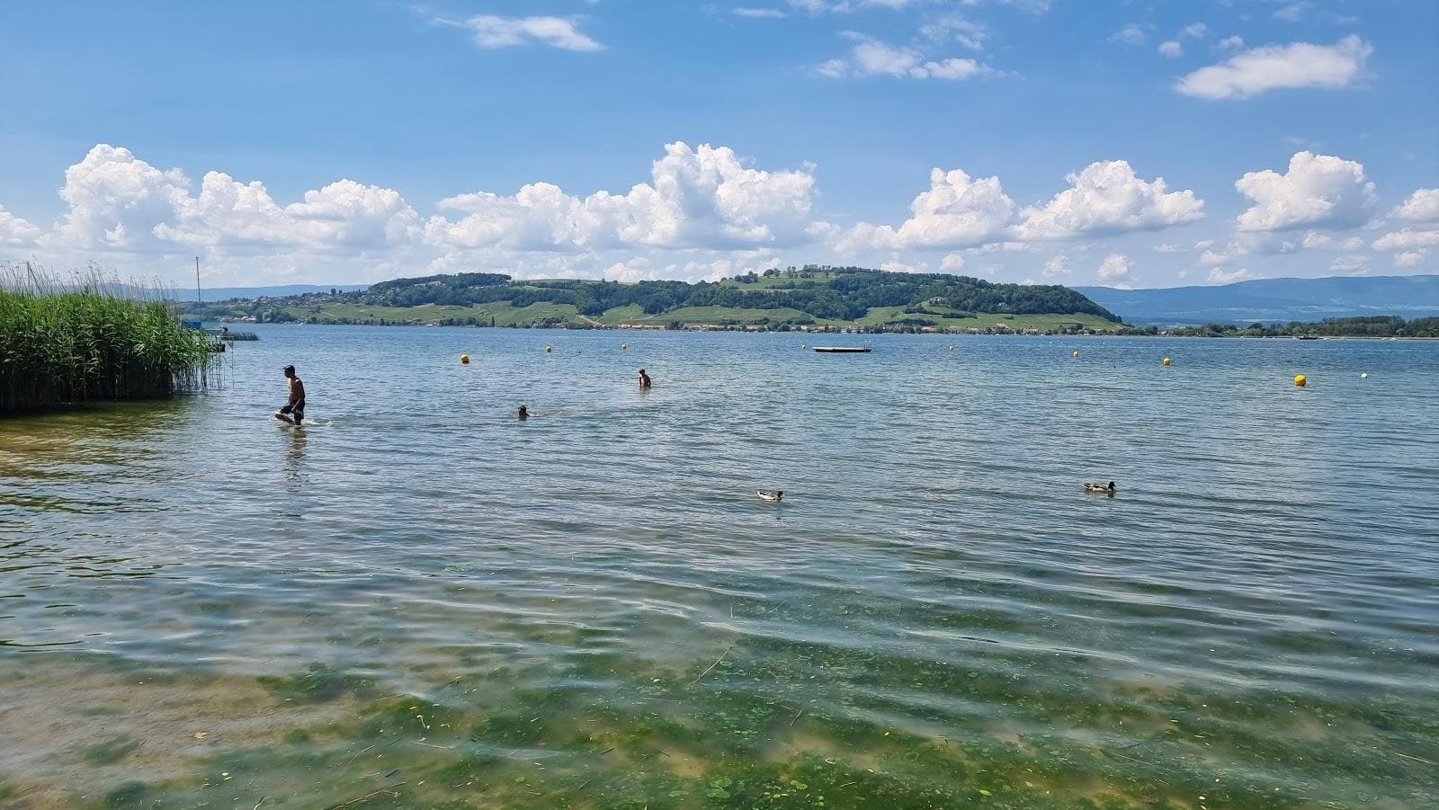 Muntelier Strandbad