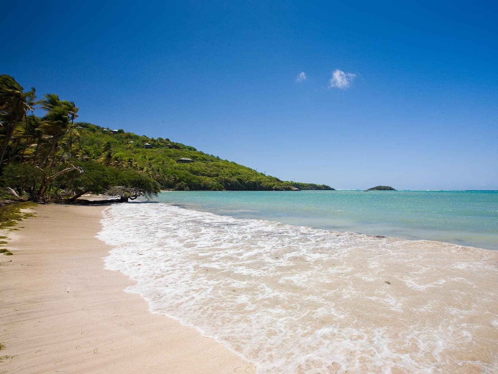 Firefly beach