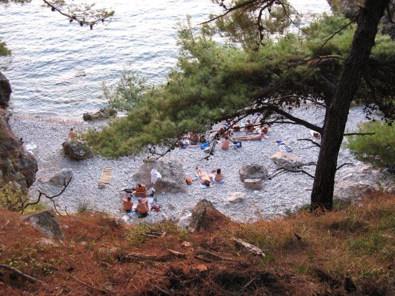 Wild beach II