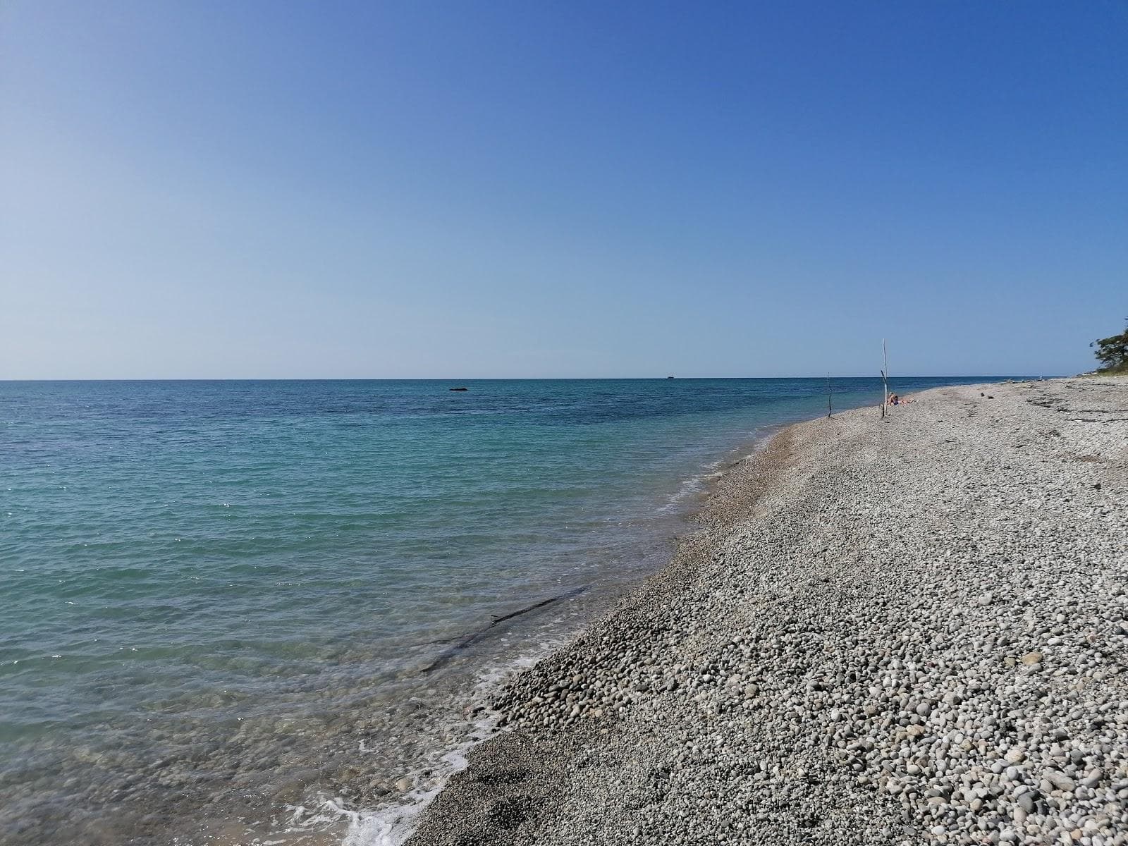 Gudauta beach