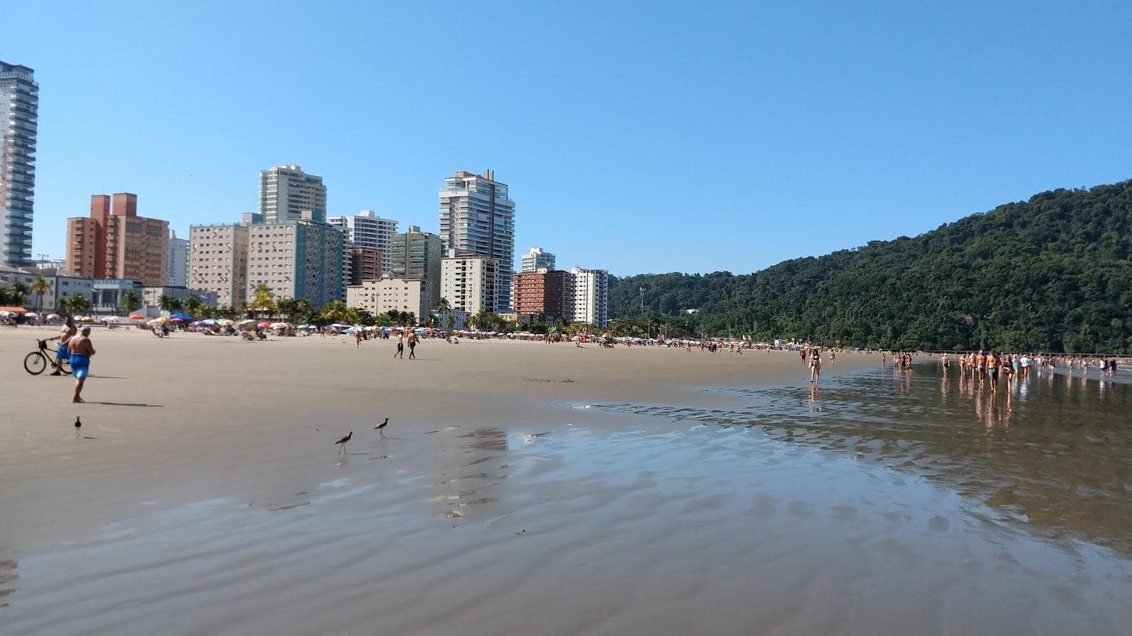 Forte beach