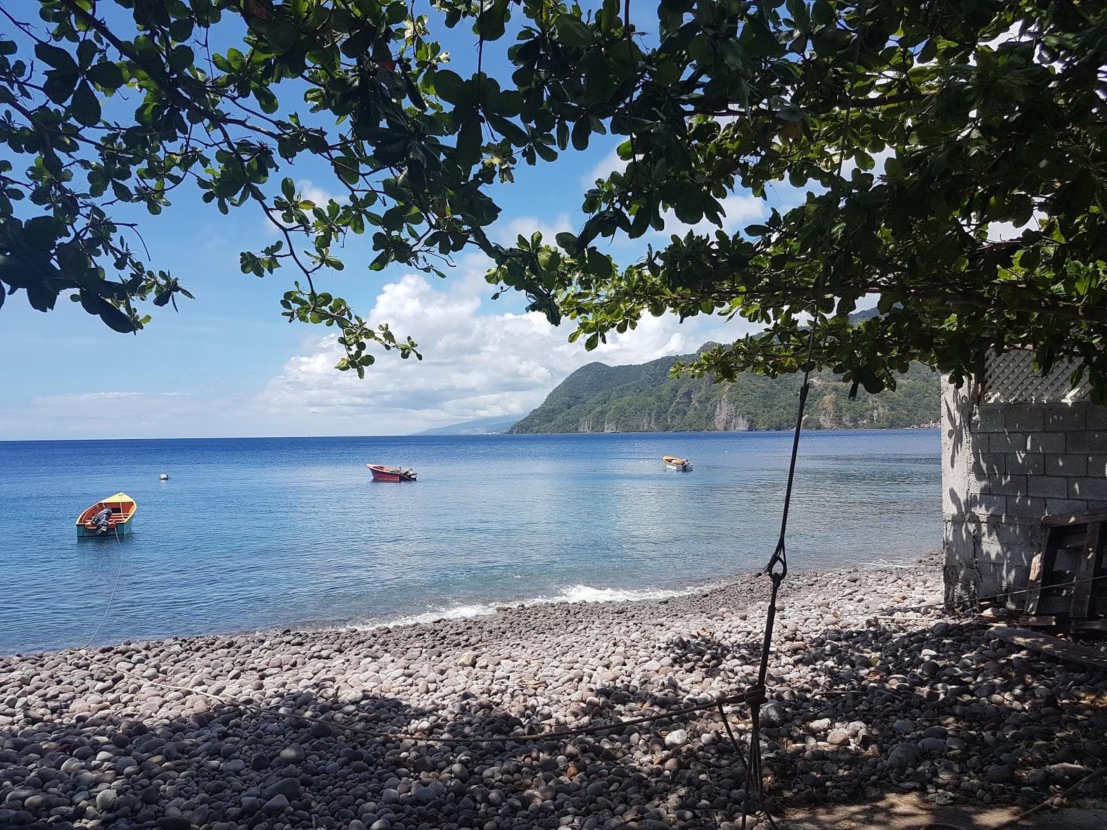 Scotts Head Beach