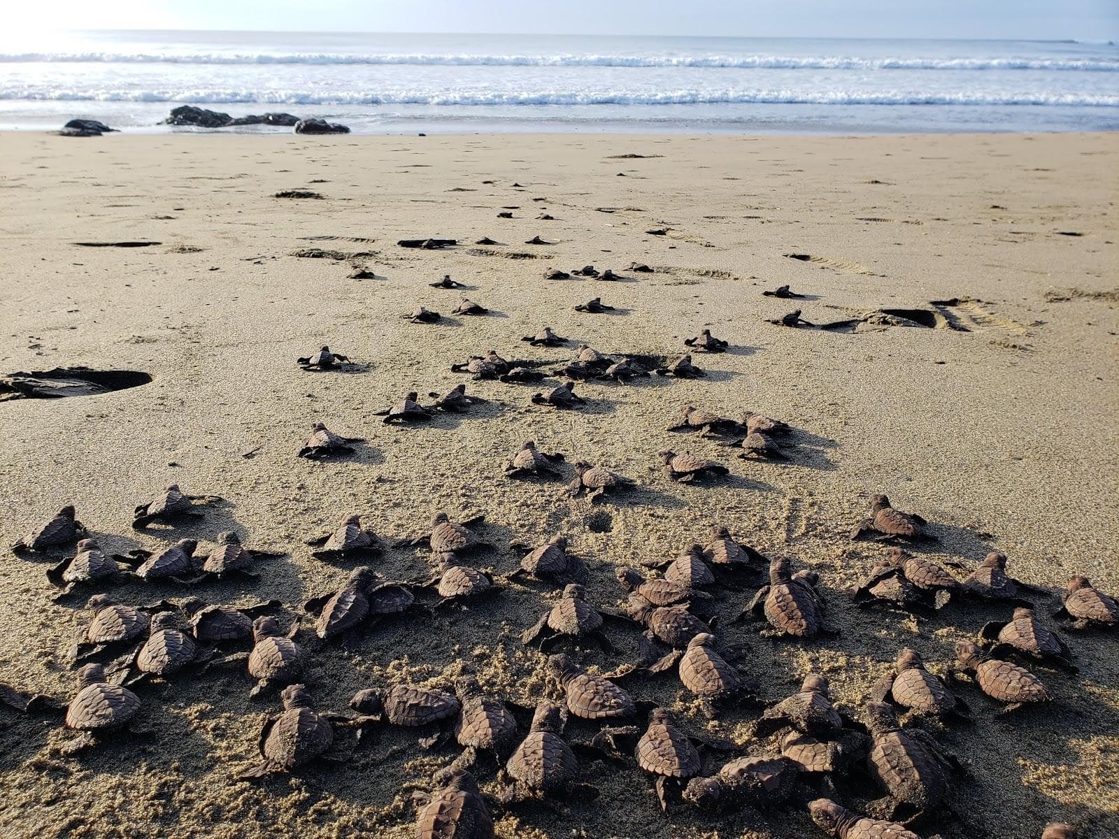 Panamaes Beach