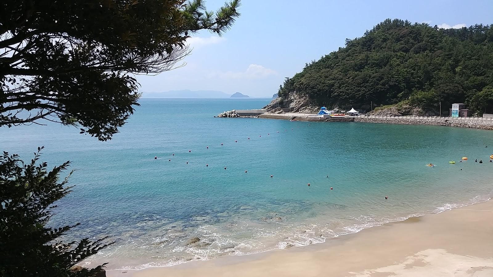 Gasa Camellia Forest Beach