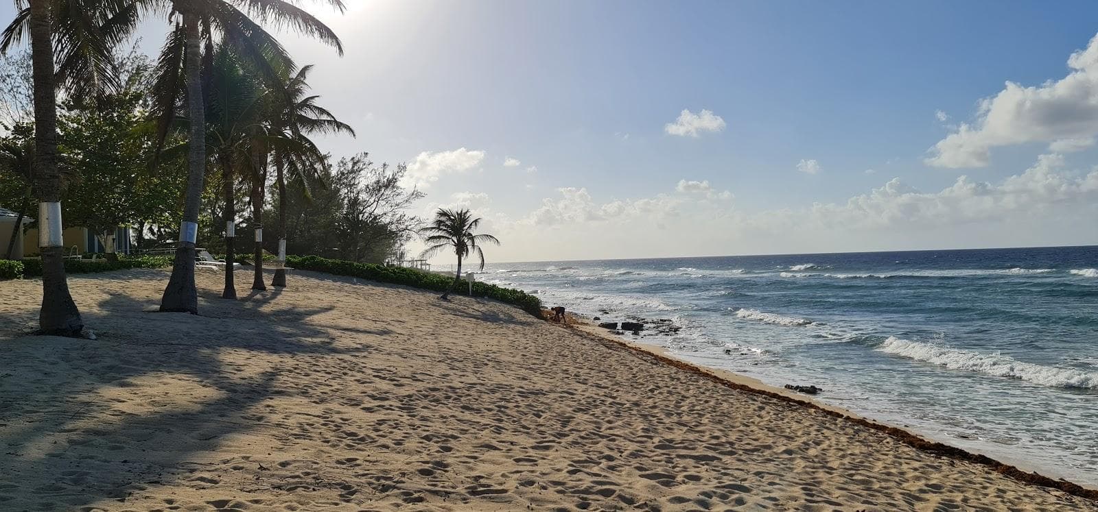 Conch Point beach