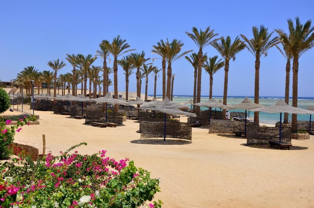 Elphistone Resort Marsa Alam beach