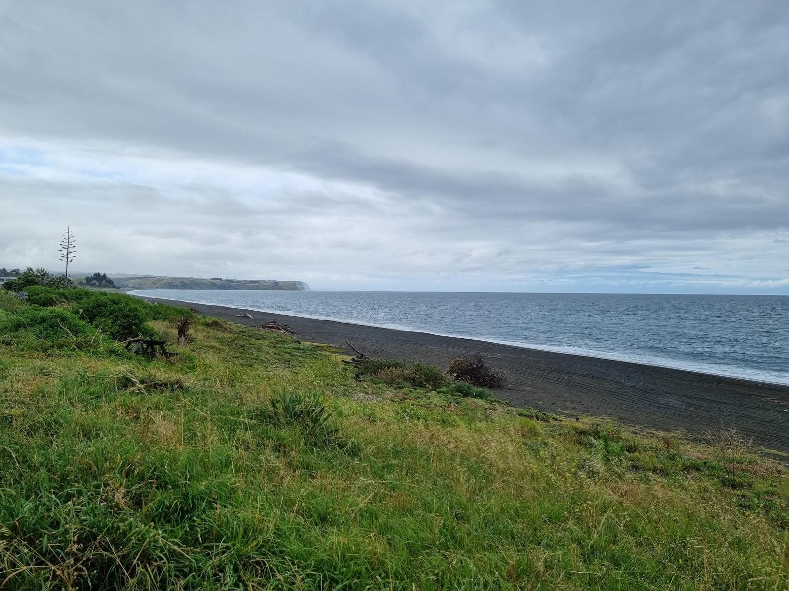 Whirinaki Beach