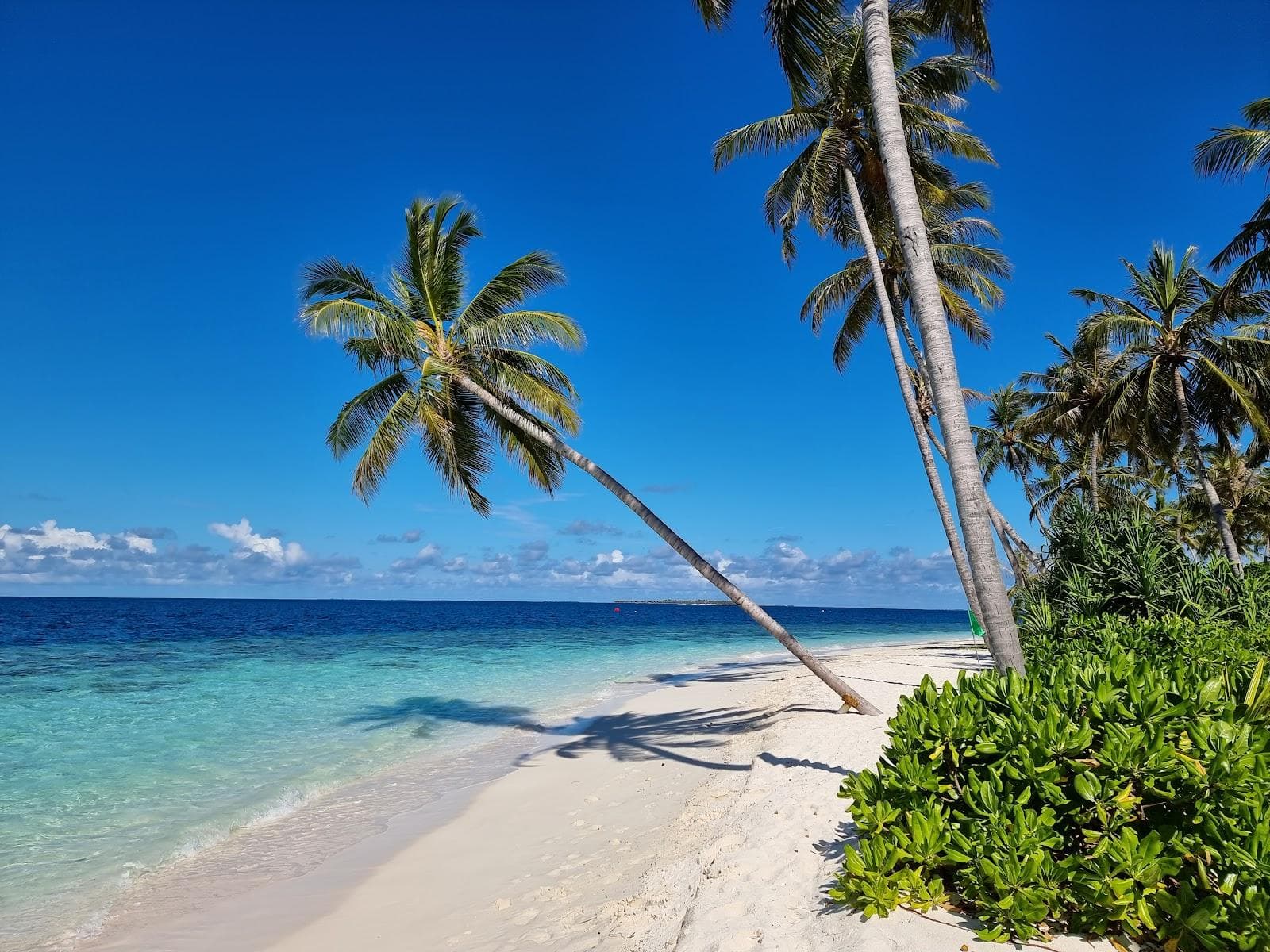Filaidhoo Island Beach
