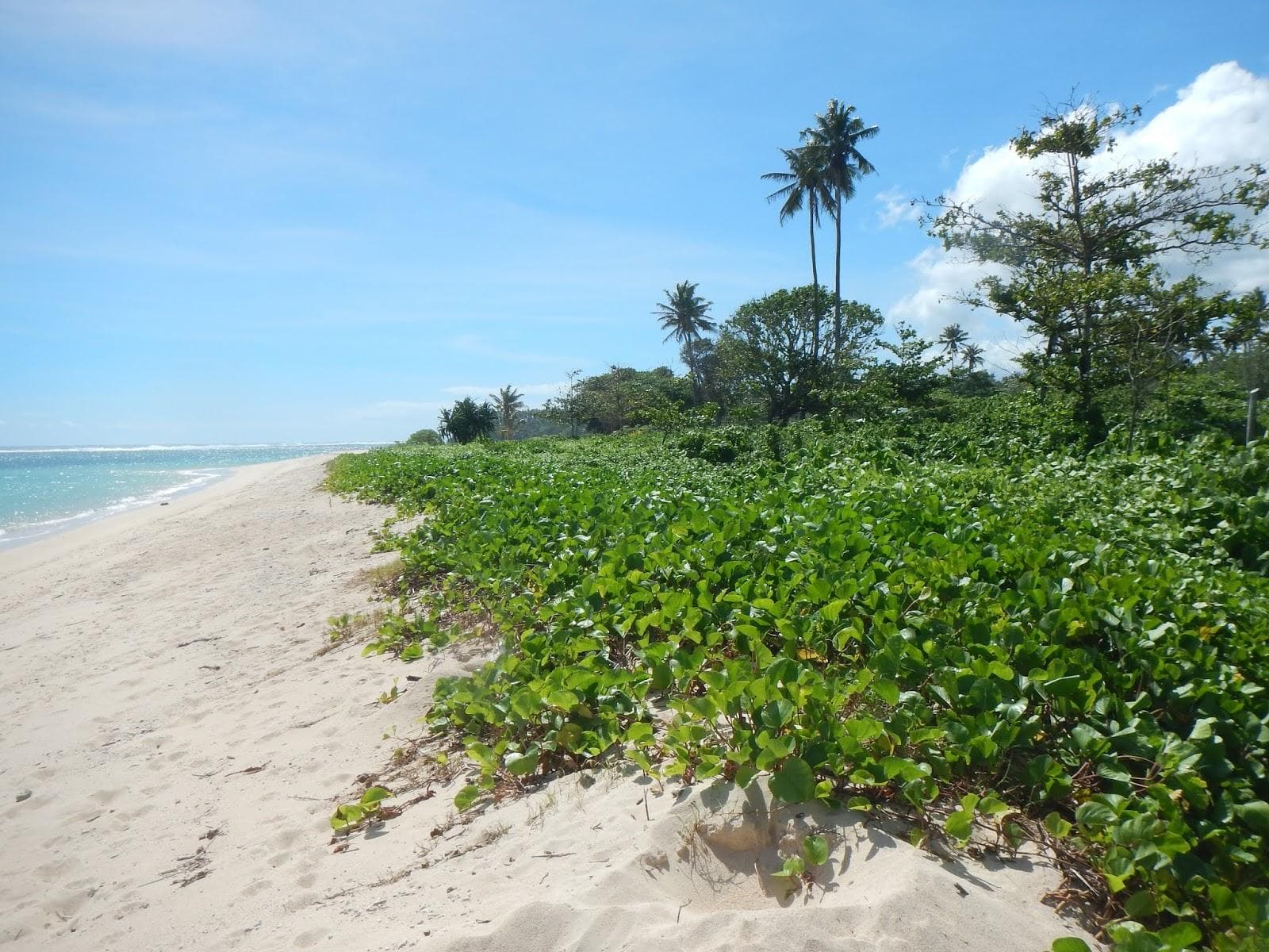 Lotofago Beach