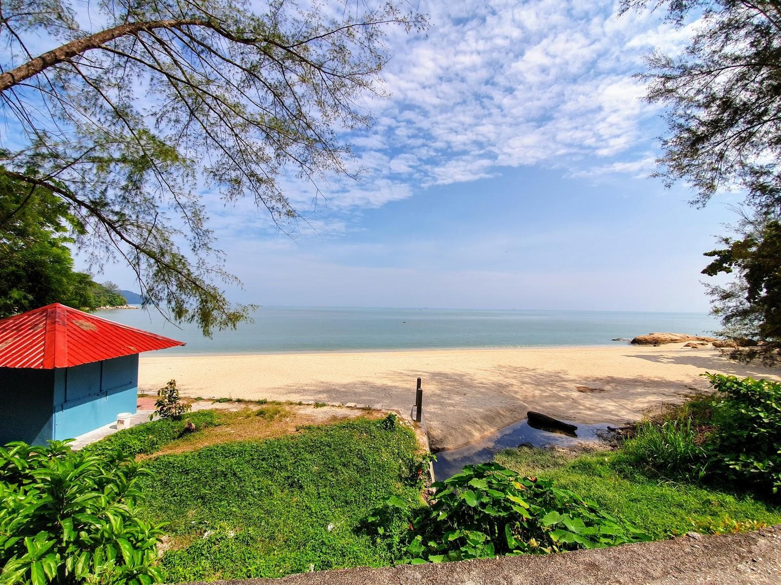 Tropical Beach