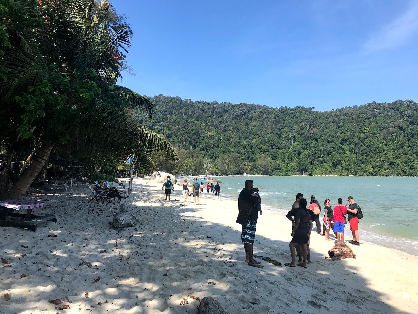Monkey Beach