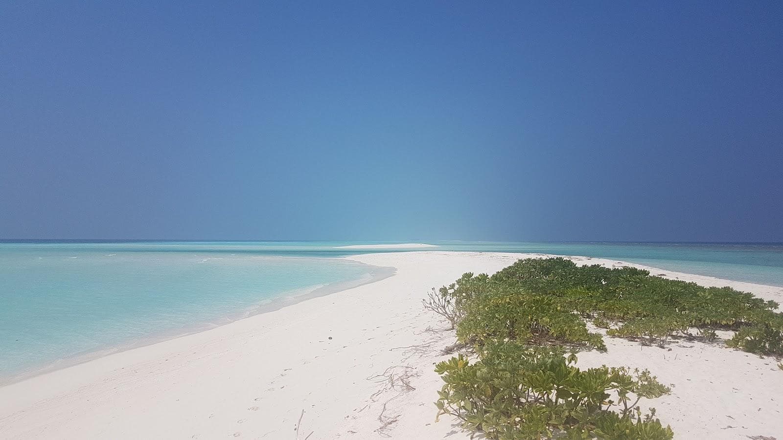 White Sandy Beach
