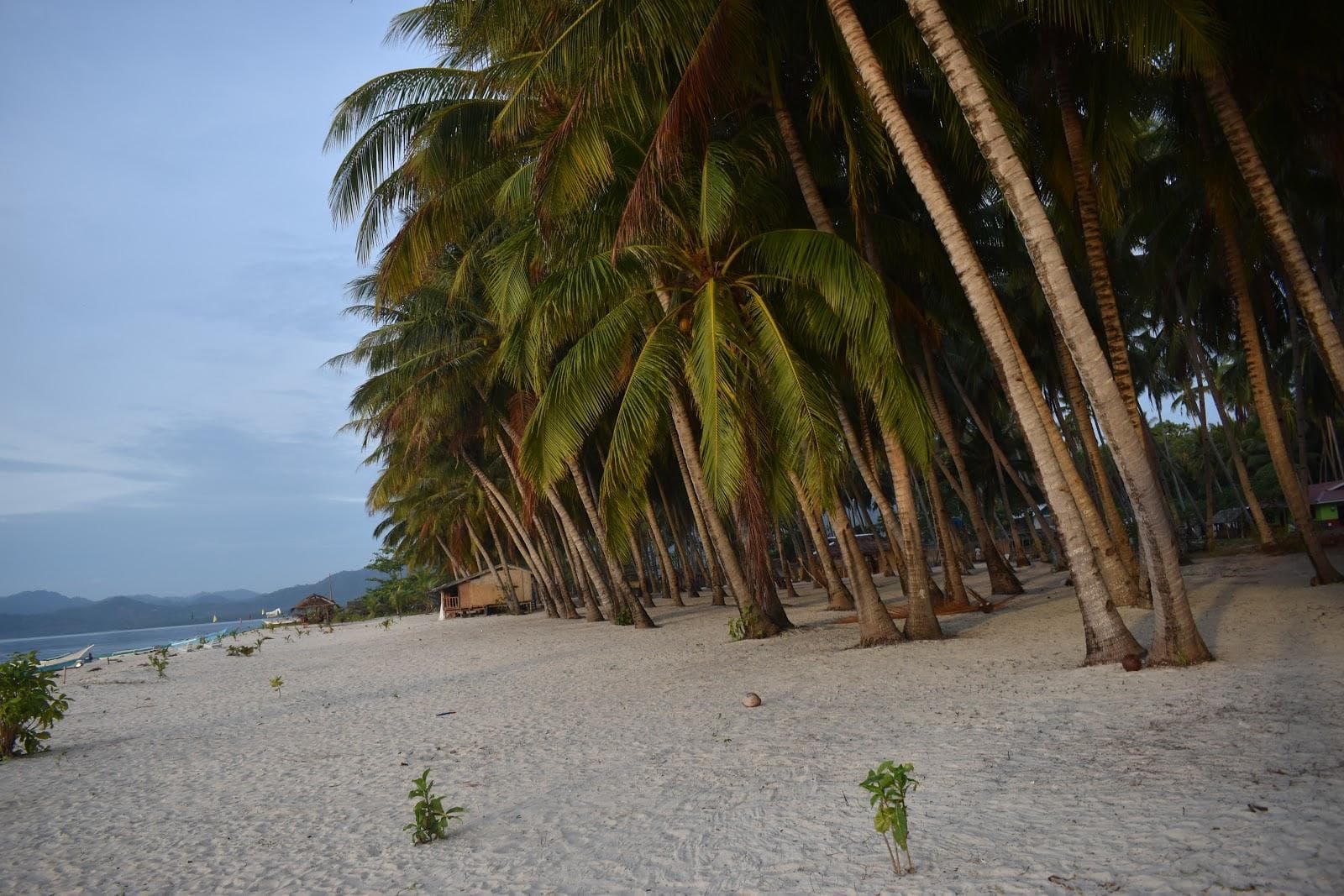 Sunrise CampSite Beach
