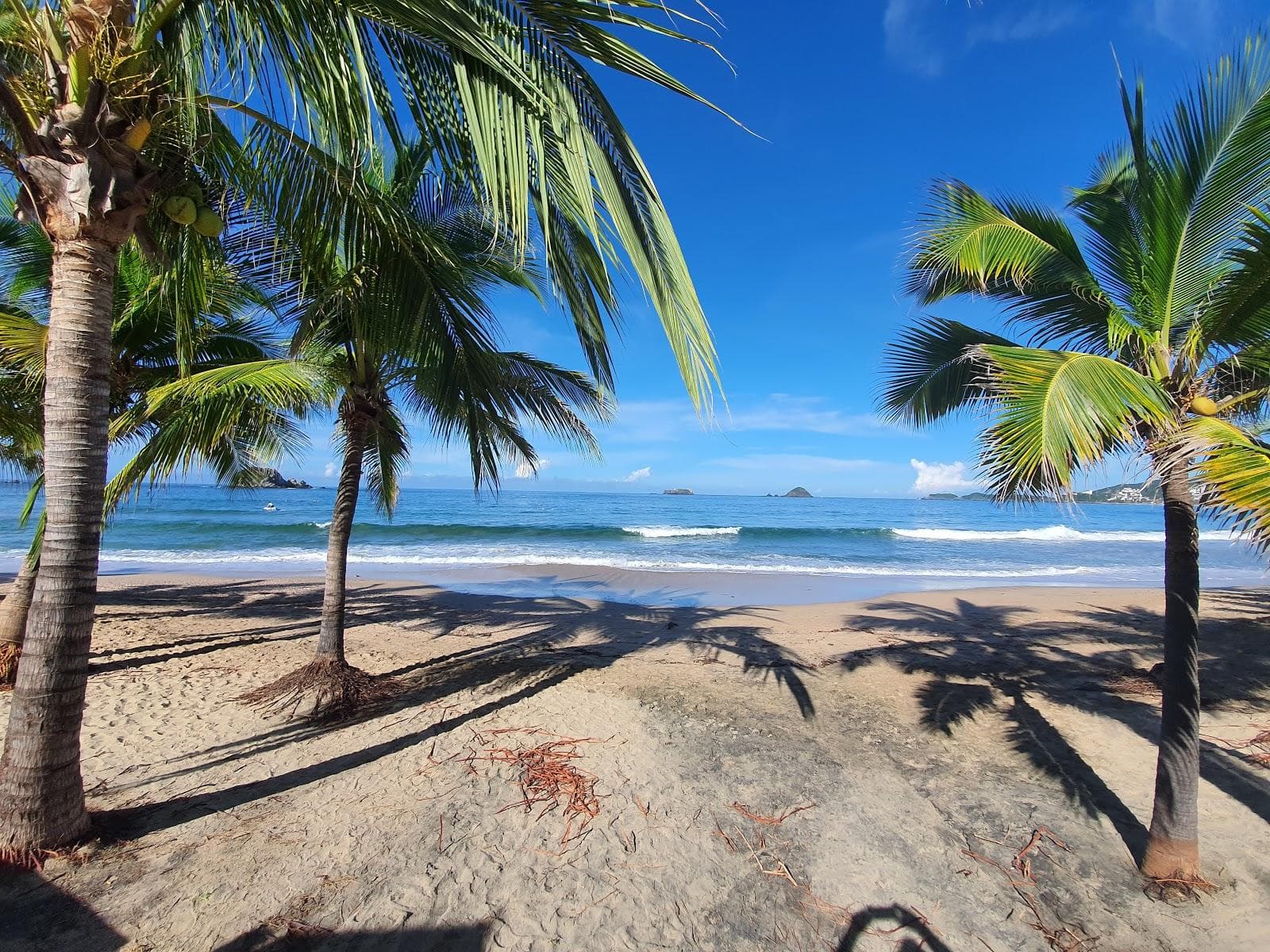 La Cucaracha beach