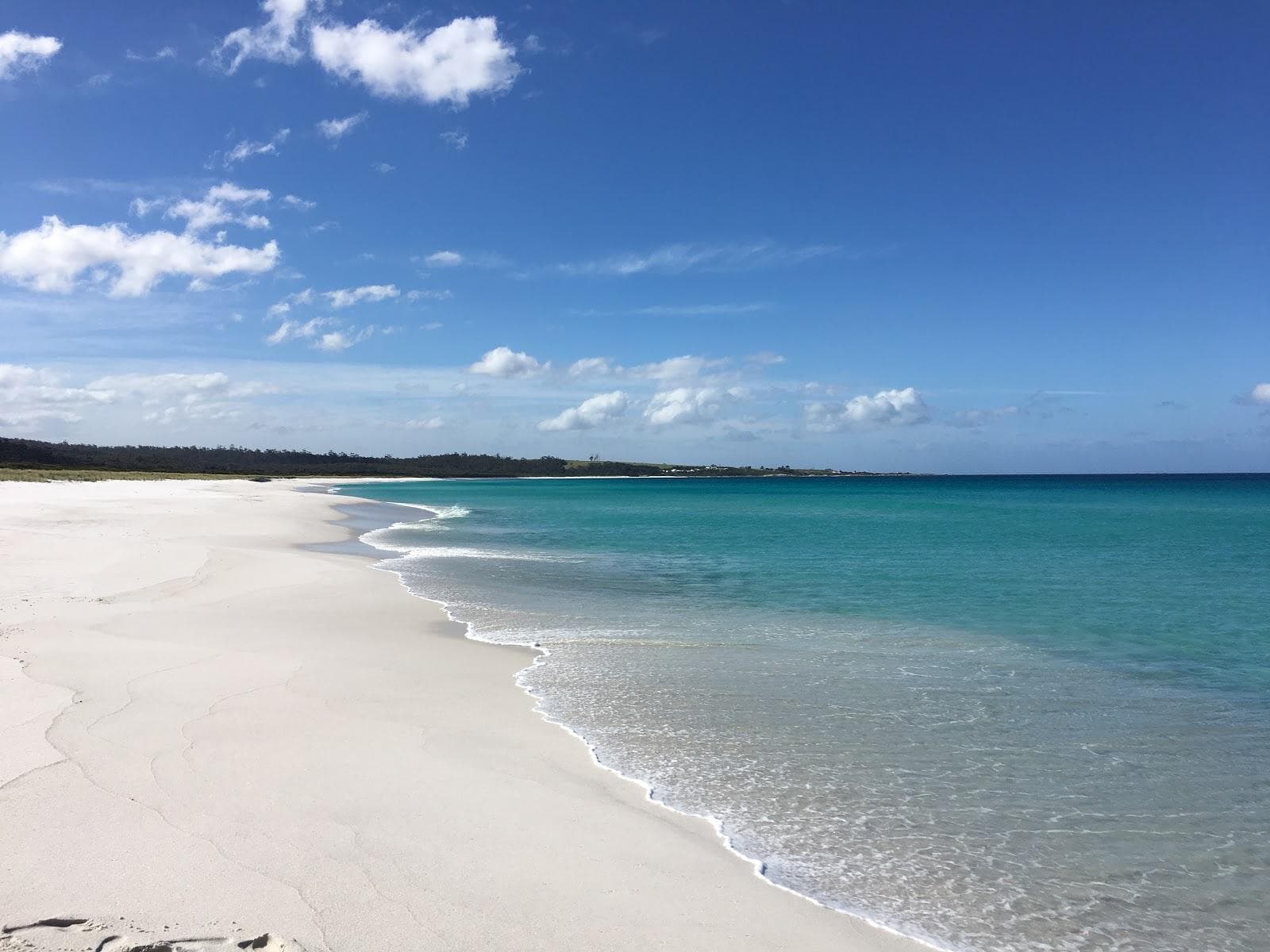 Taylors Beach