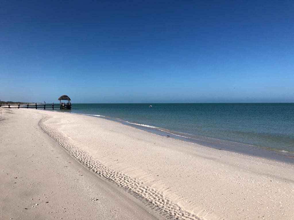 Playa Maya