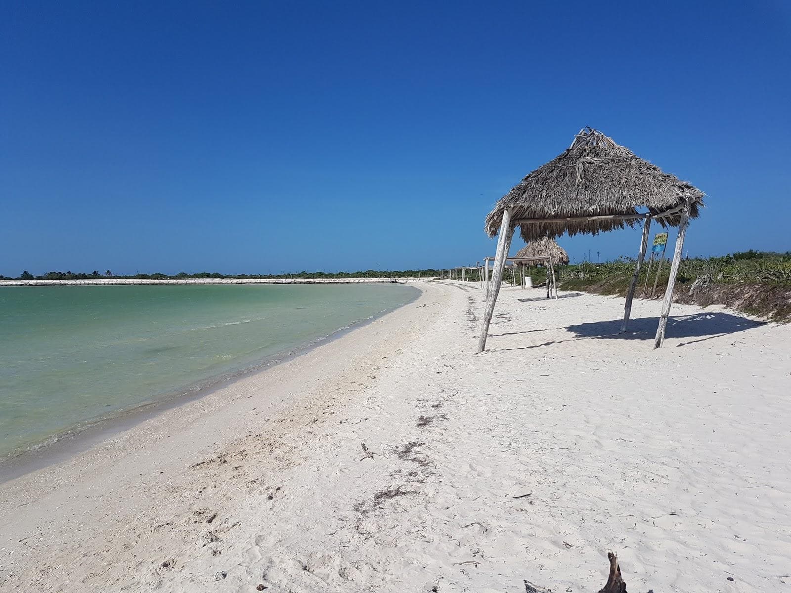 Playa Rio Lagartos