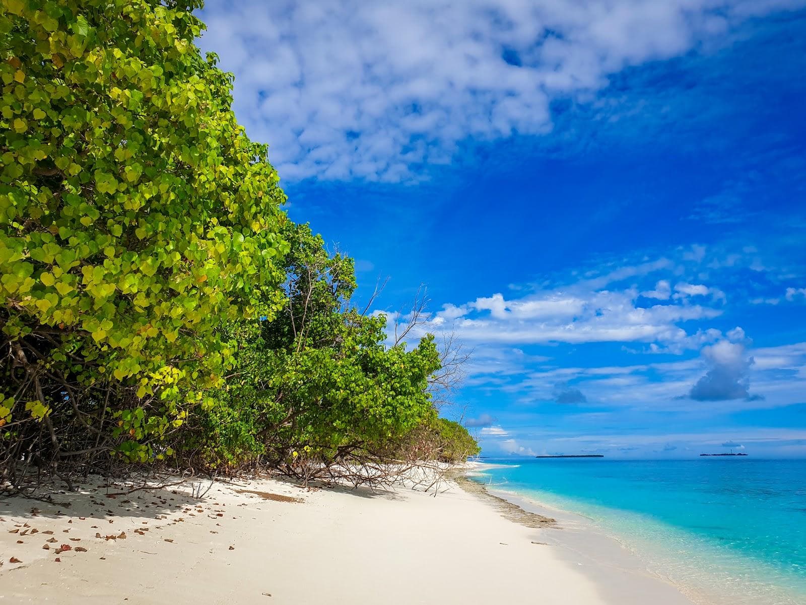 Dhidhdhoo beach