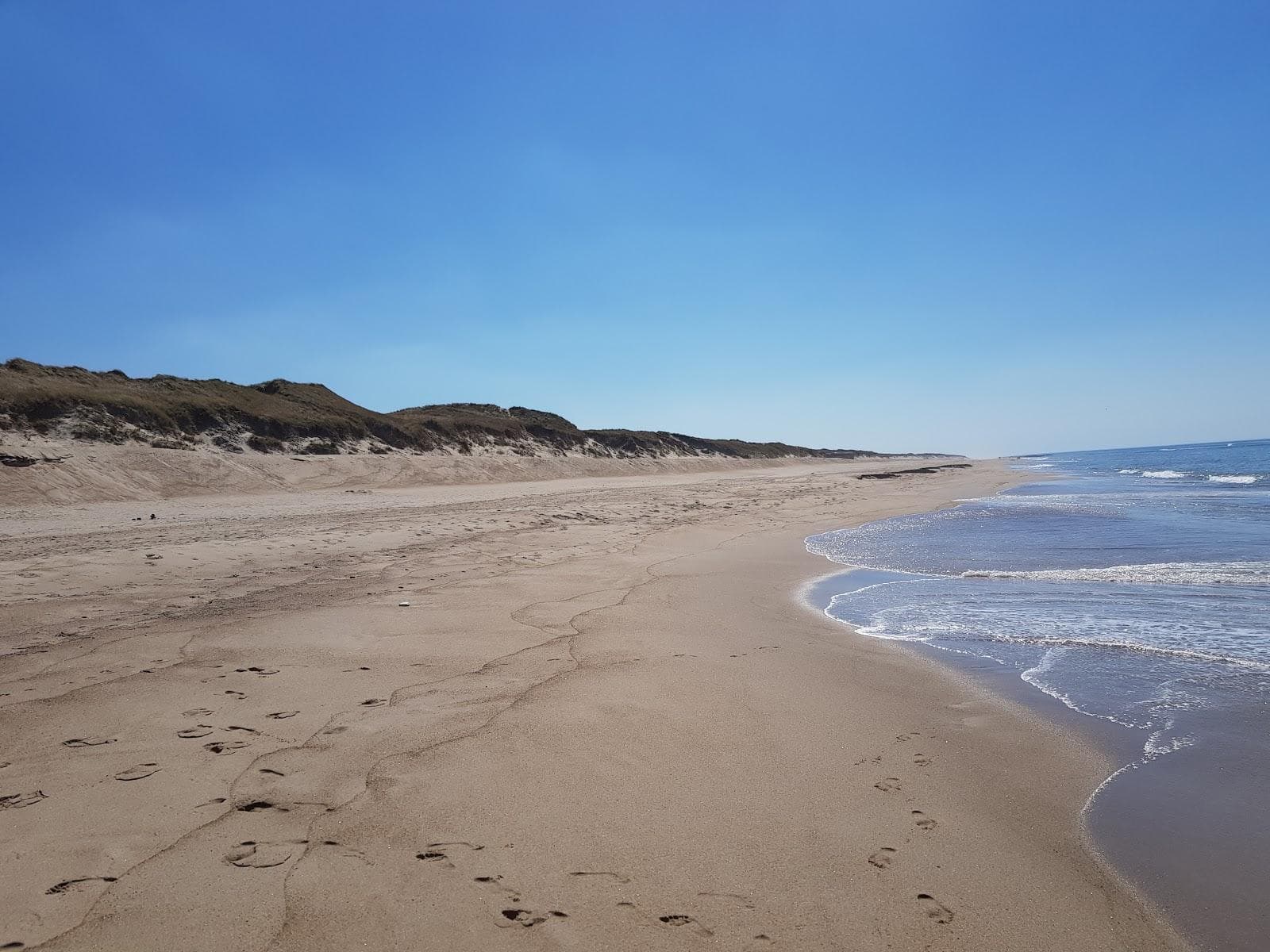 Vejlby Klit Beach