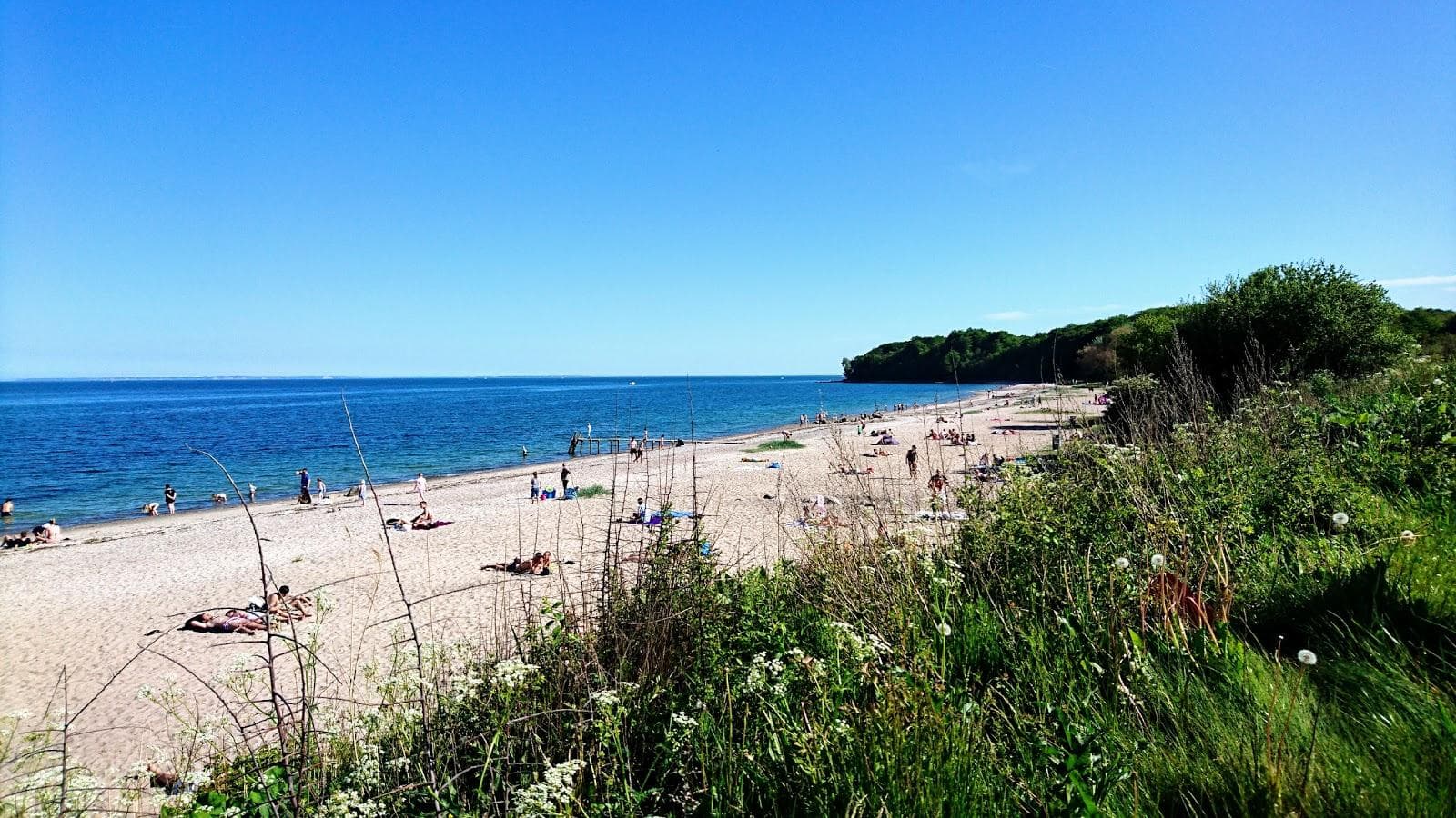Moesgard Beach