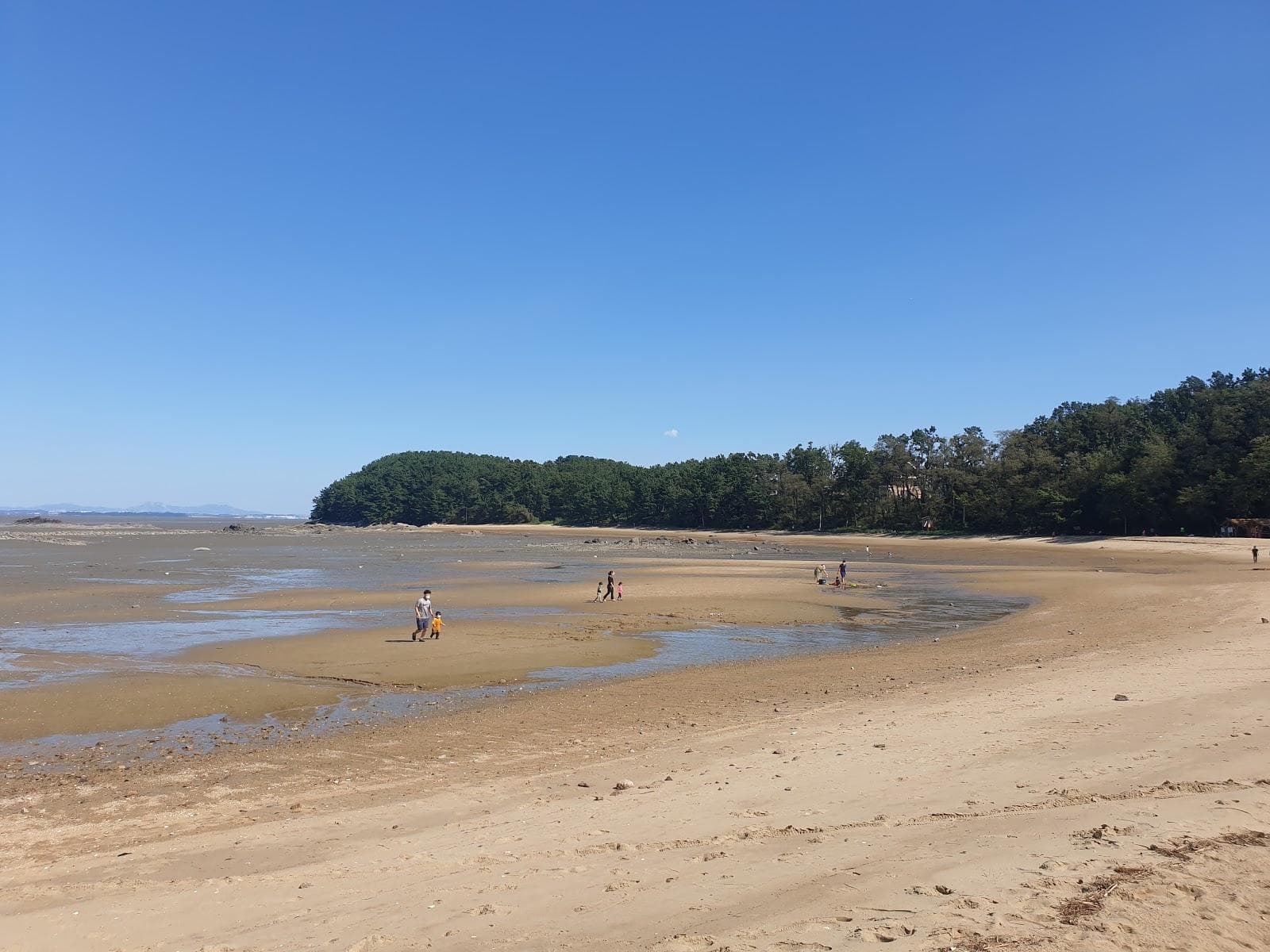 Sugi Beach