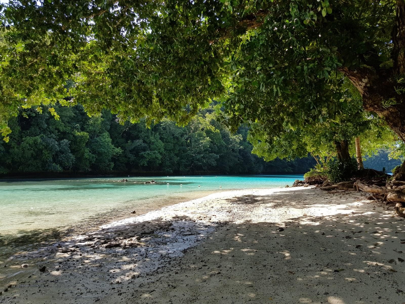 Ngchus Beach