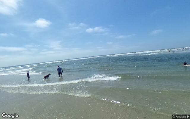 Del Mar Dog Beach
