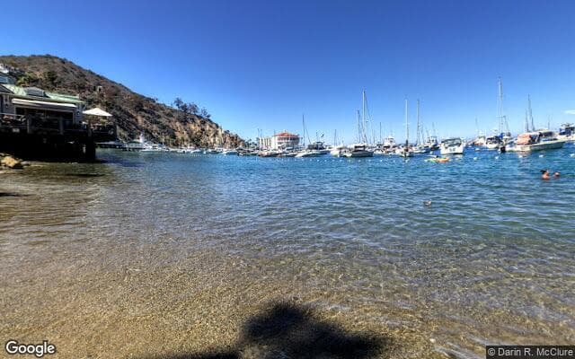 Avalon Beach 100ft west of pier towards Busy Bee Rest.