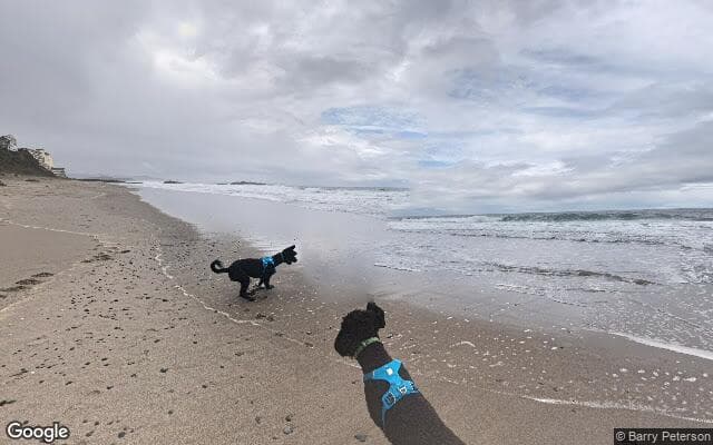 Pacific Ocean – Near Baldy Creek