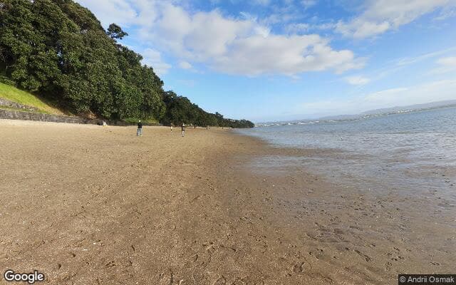 Point Chevalier Beach