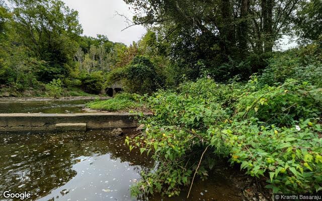 Reedy Creek