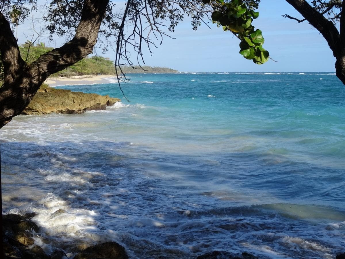 Playa de Nibujon