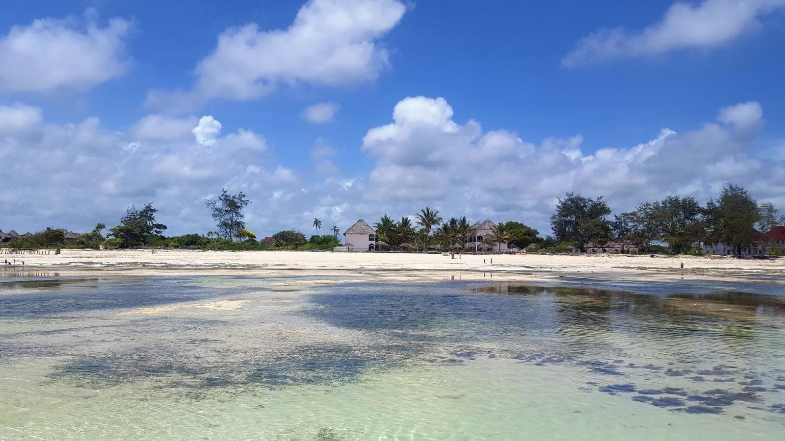 Makunduchi Beach