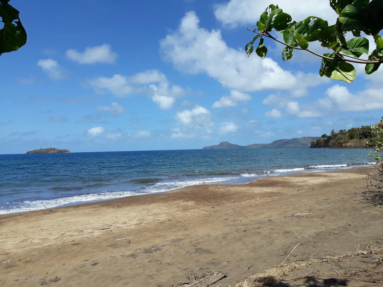 Musical Beach