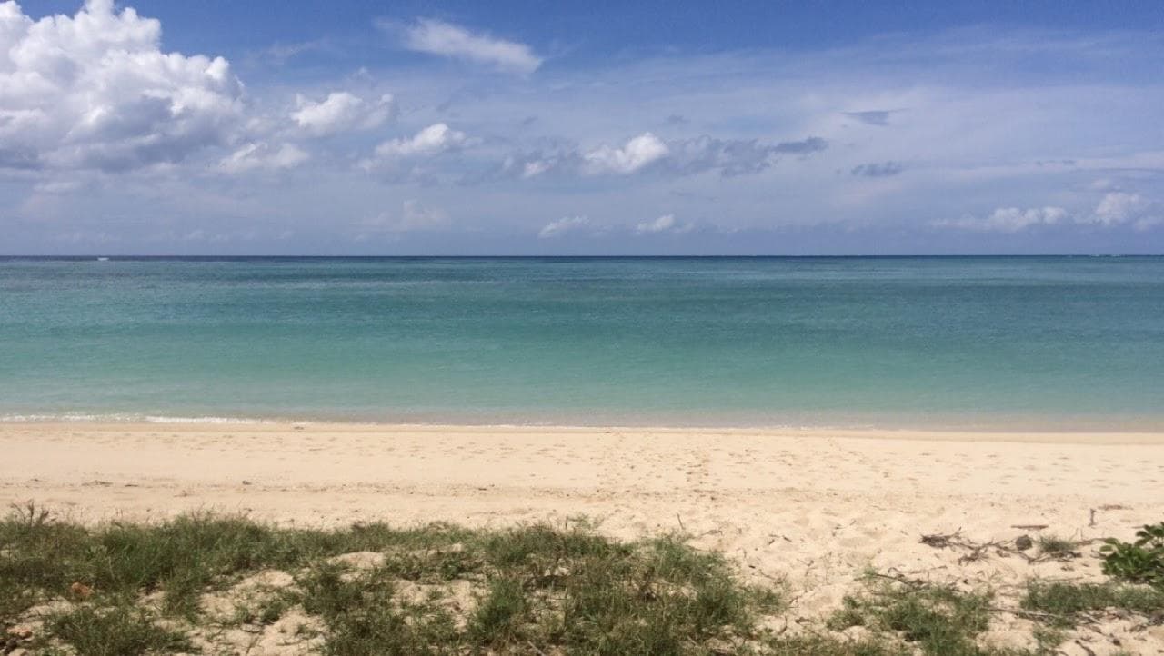 Mtsanga Safari Beach
