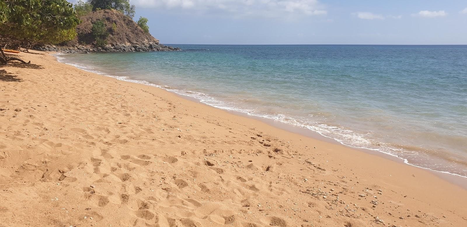 Turtle Beach
