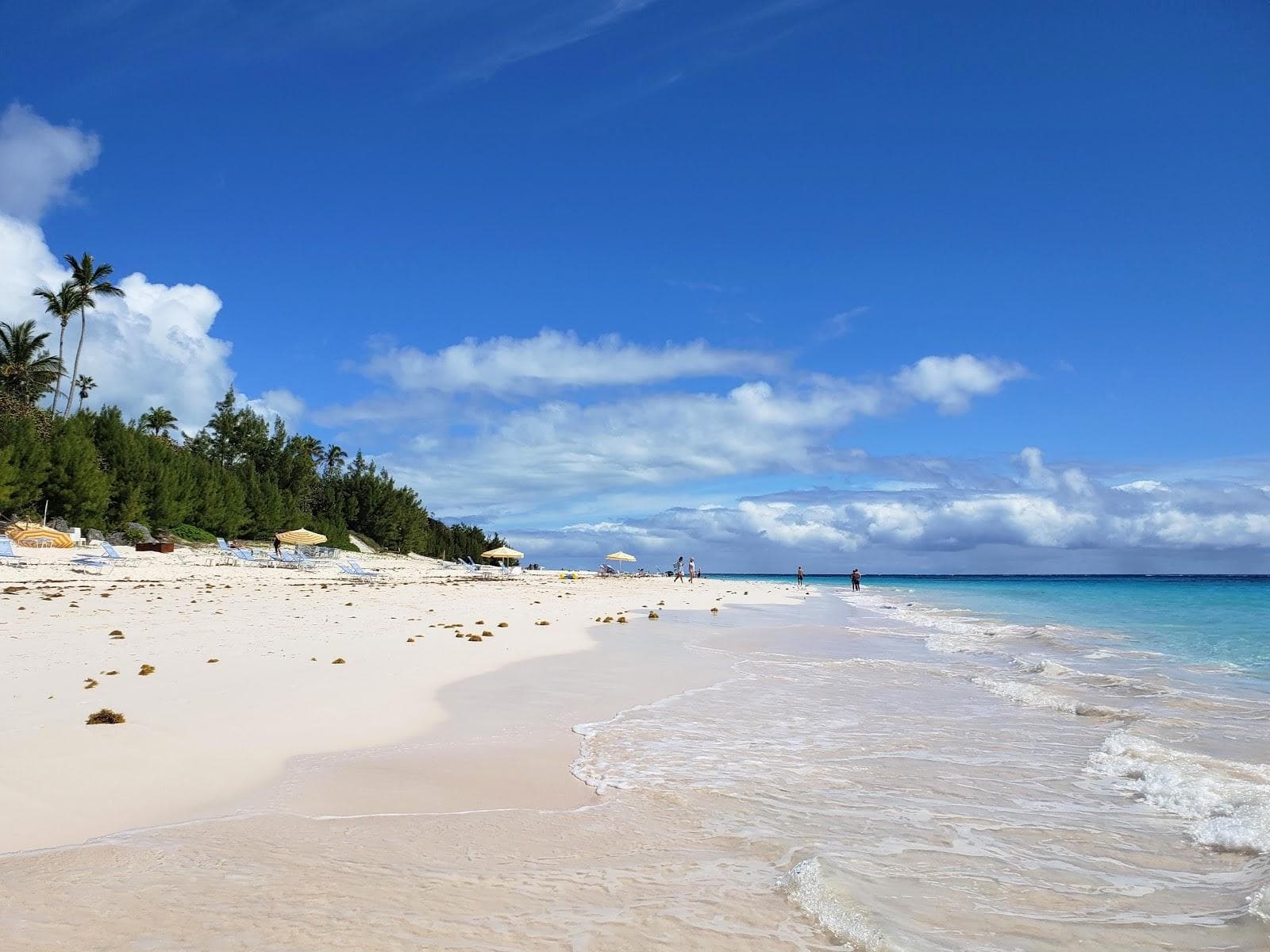Elbow Beach