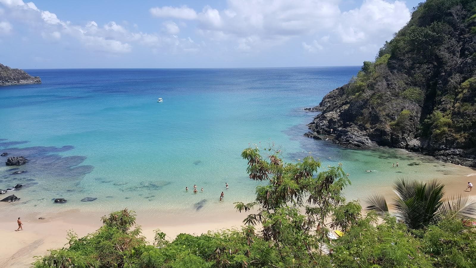 Praia do Cachorro
